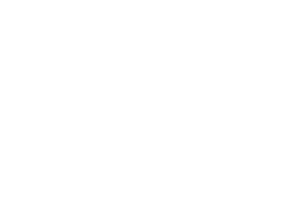 Helicotrip logo blanc